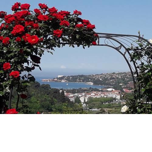 APARTMA SEA VIEW