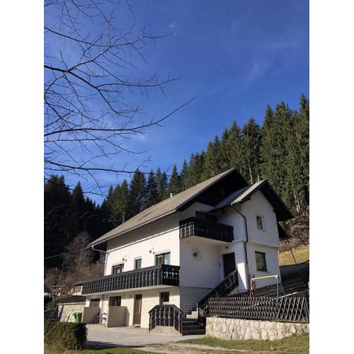 Apartma Vidovič