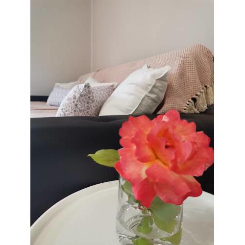 Apartma VRTNICA