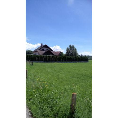 Apartma Žirovnik
