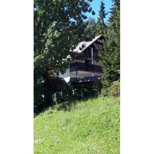 Apartmaji Dobnikar