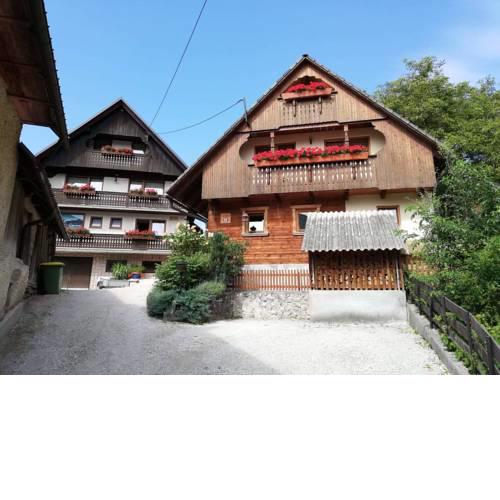 Apartmaji Pavc