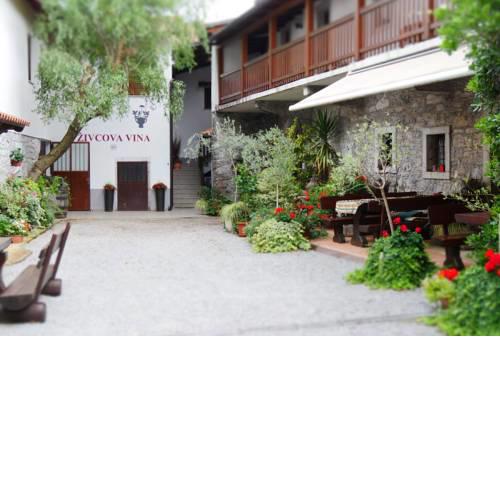 Apartmaji pri Živcovih