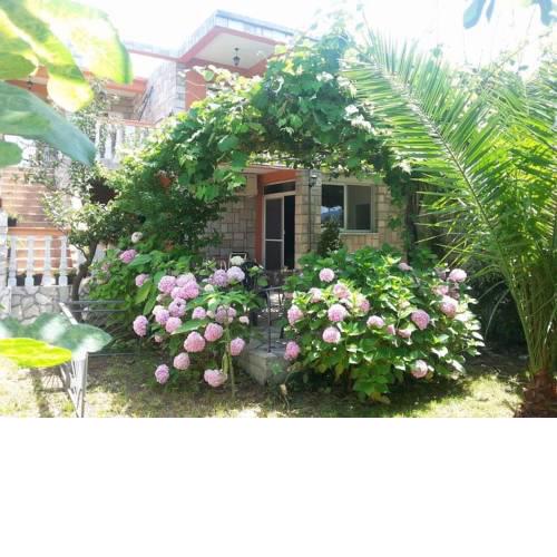 apartman 2