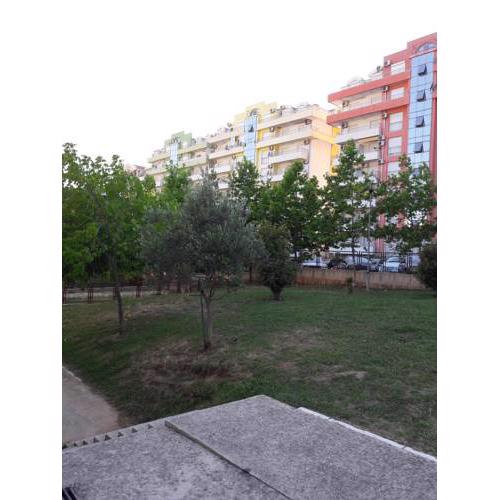 Apartman 67