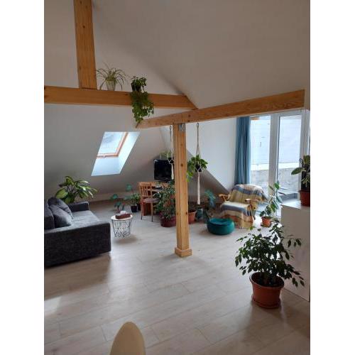 Apartman Barbara