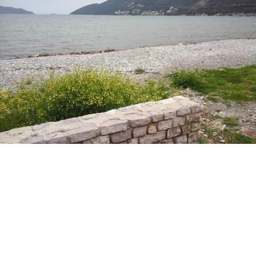 Apartman Billjana