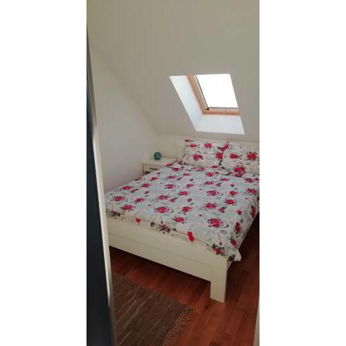 Apartman BK Zabjelo