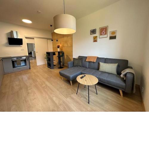 Apartmán blízko centra, parkování a wifi zdarma