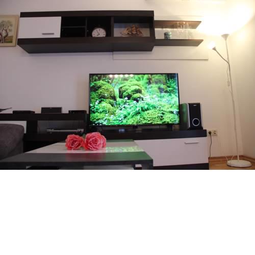 APARTMAN BRANKA ***