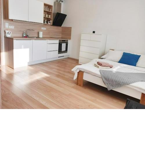 Apartman Bystrc