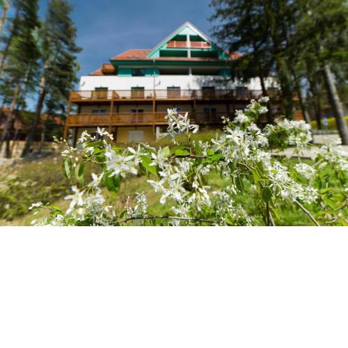 Apartmán Čtyřlístek Lipno
