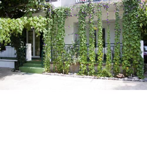 Apartman Cvita