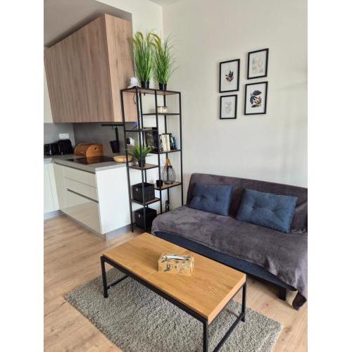 Apartmán Danadrin Family Evergreen Tále