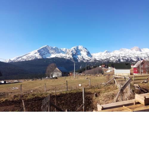 Apartman Durmitor S