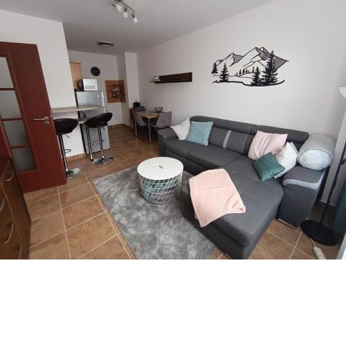 Apartmán Frymburk