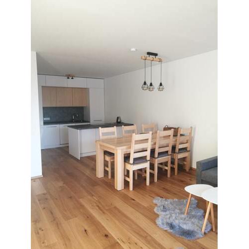 Apartman Hechlstein v Tauplitz