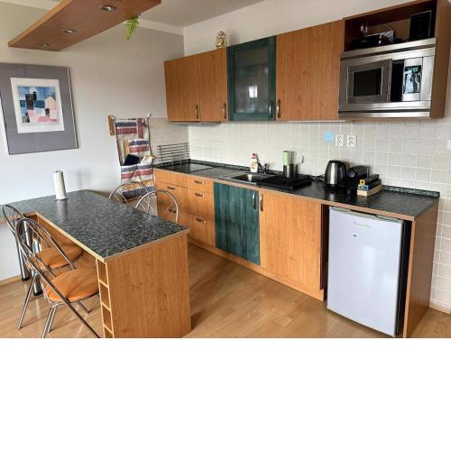 Apartmán Horní Mísečky