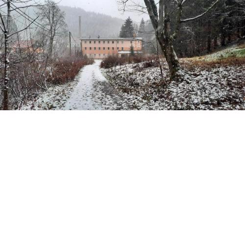 Apartmán Kořenov