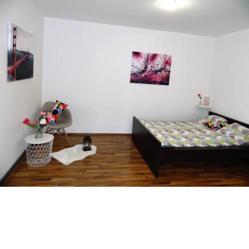Apartmán Křenka Brno-střed