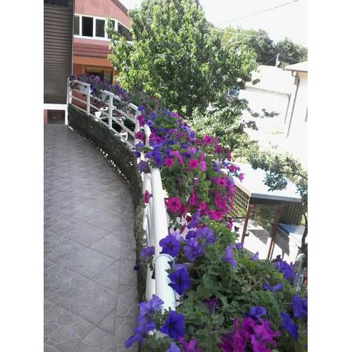 Apartman Maša