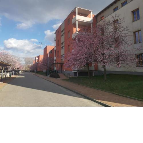 Apartmán Pálavská alej