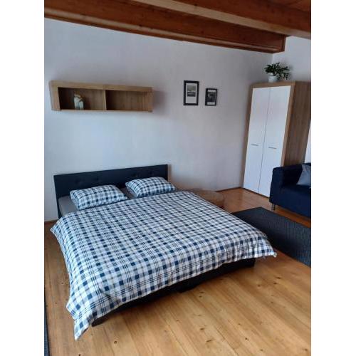 Apartmán Radenice