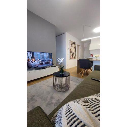 Apartmán ROVE with privat parking free
