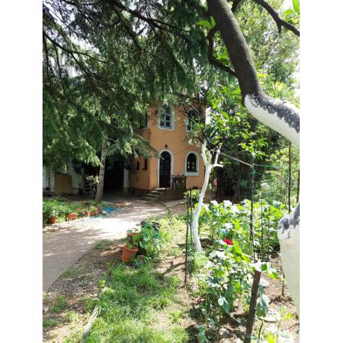 Apartman Saša