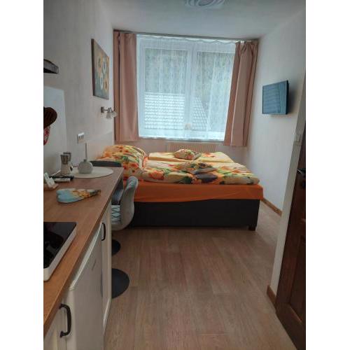 Apartmán U dvou slunečnic