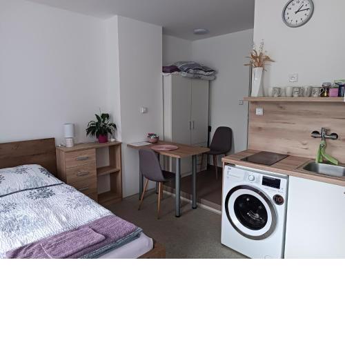 Apartmán u ševce - BRNO