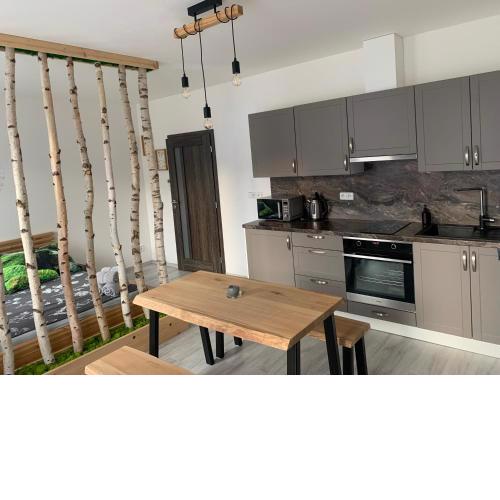 Apartmán v centru Železné Rudy se zahrádkou