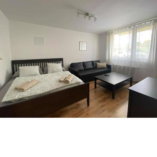 Apartmán ve Valticích