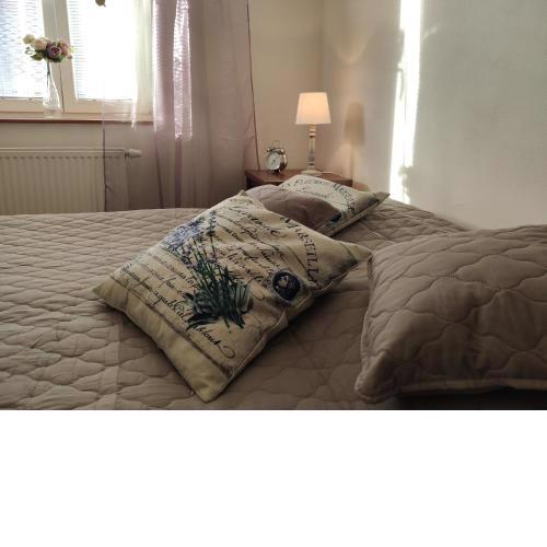 Apartmán Viky, Karlovický Dvůr