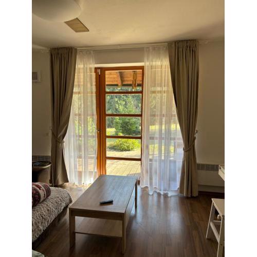 Apartmán Vratička Říčky v Orlických horách