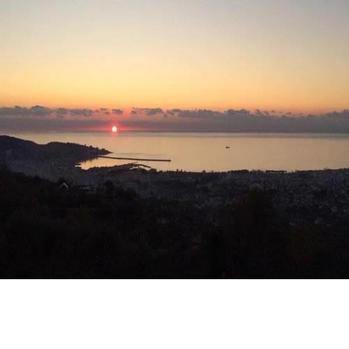 Apartman Vulezzic