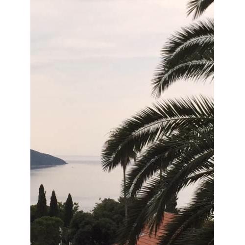 Apartman Zirojevic