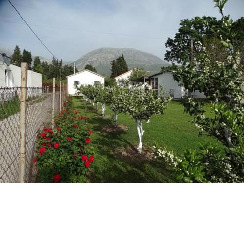 Apartman Zorana