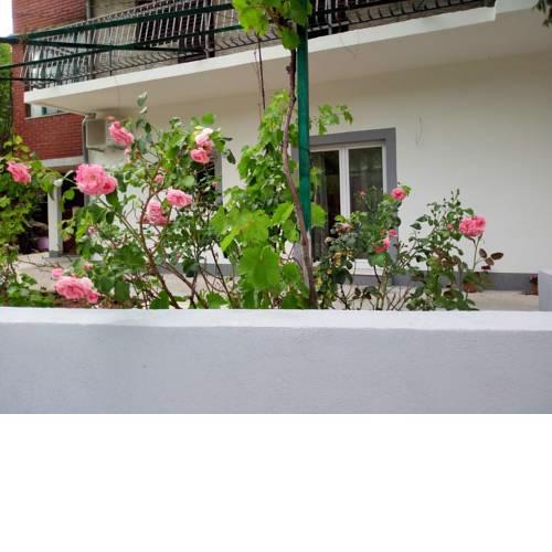 Apartmani Alma