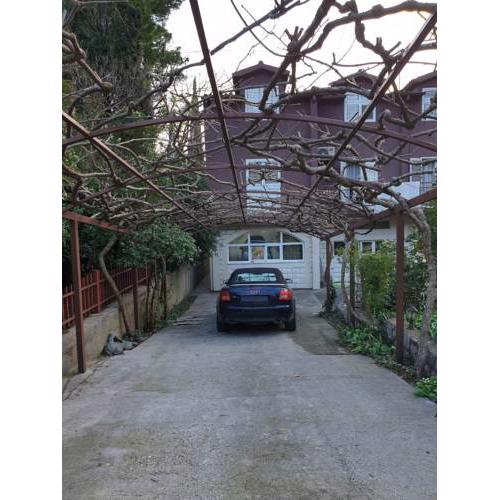 Apartmani Bakocevic