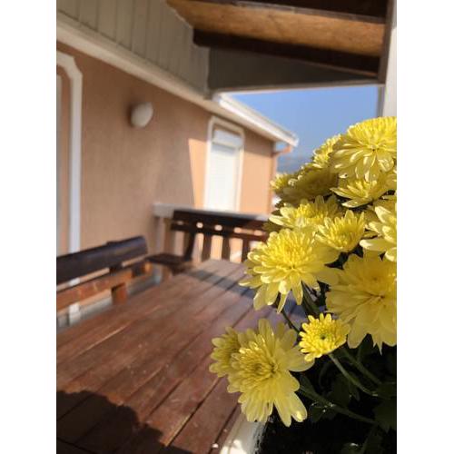 Apartmani Breze