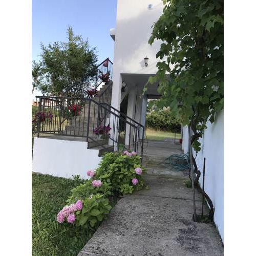 Apartmani Dragana