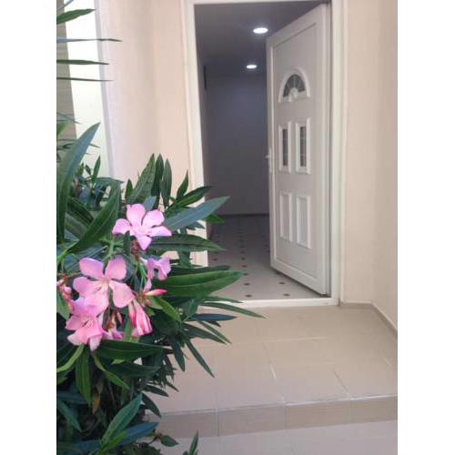 Apartmani Jancic