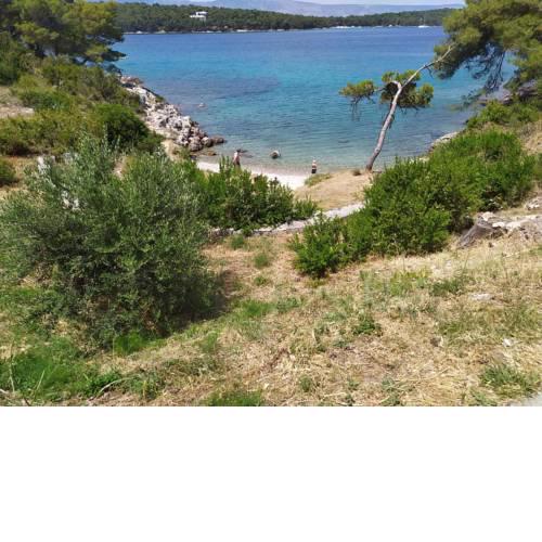 Apartmani Lazaneo