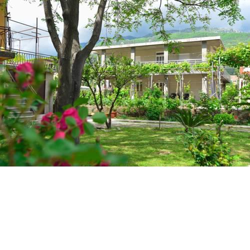 Apartmani Mihovic - JAZ