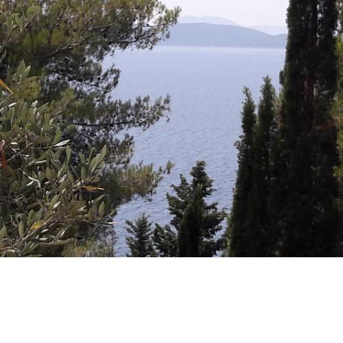 Apartmani Nena