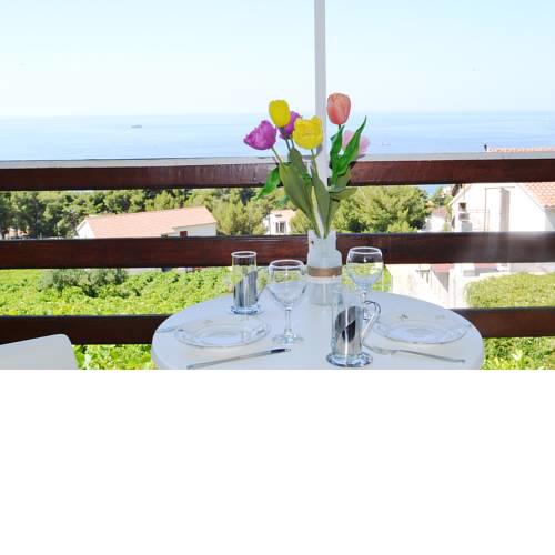 Apartmani Nikola