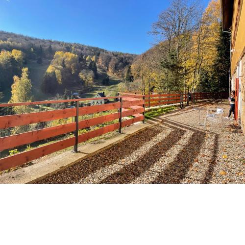 Apartmány Telnice - Medorhof
