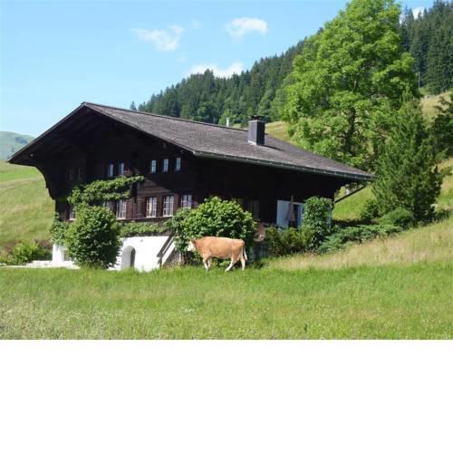Apartment Aerneli, Chalet