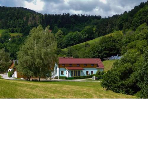 Apartment Ahorn
